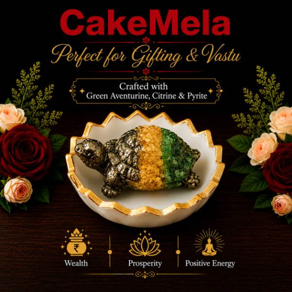 Premium 3 Stone Turtle — cake delivery in Ranchi