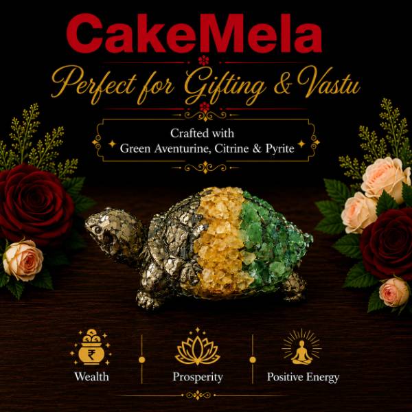 Premium 3 Stone Turtle — cake delivery in Ranchi