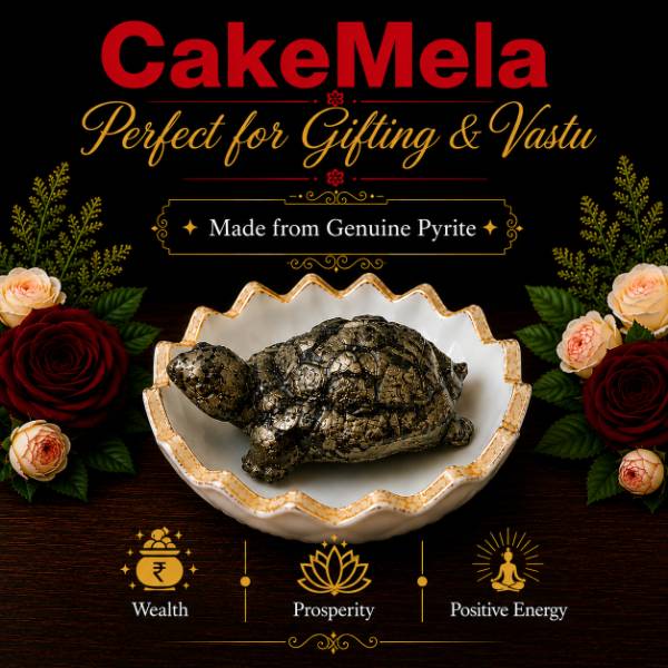 Pyrite Turtle Gift — cake delivery in Ranchi